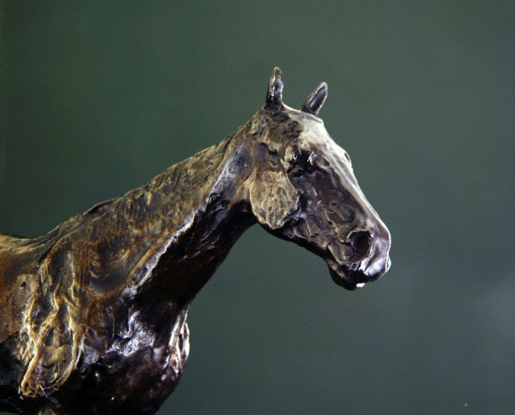 Detail of Horse's Head by Edgar Degas