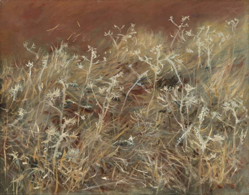 Detail of Thistles, 1885-89 by John Singer Sargent