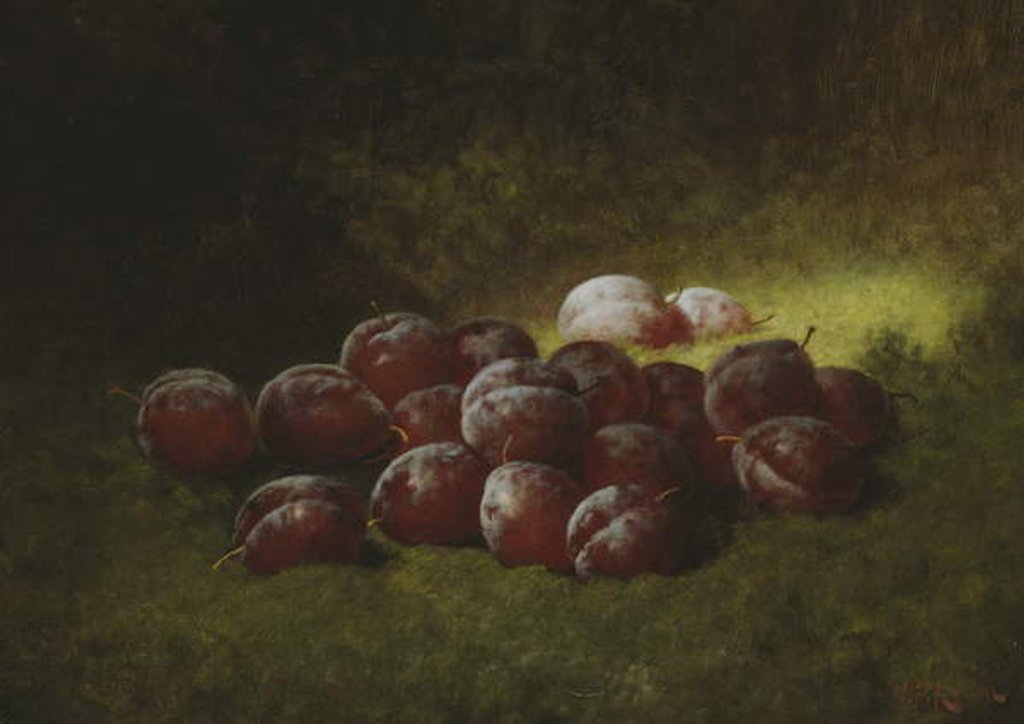 Detail of Purple Plums, 1895 by Carducius Plantagenet Ream
