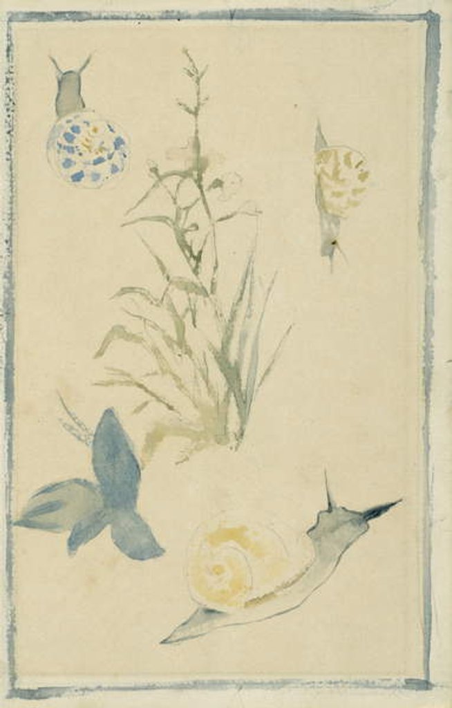 Detail of Sketches of snails, flowering plant, c.1880 by Edouard Manet