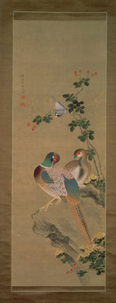 Detail of Pheasant, bullfinch, flowers and rock, c.1800 by Ariwara Baikei