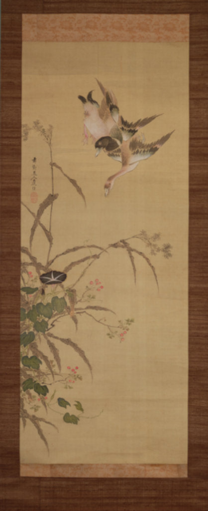 Detail of Ducks, flowers and grasses, c.1800-22 by Gentai Sanjin