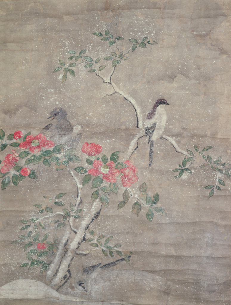 Detail of Birds and camelia in snow, c.1700 by Ogawa Haritsu