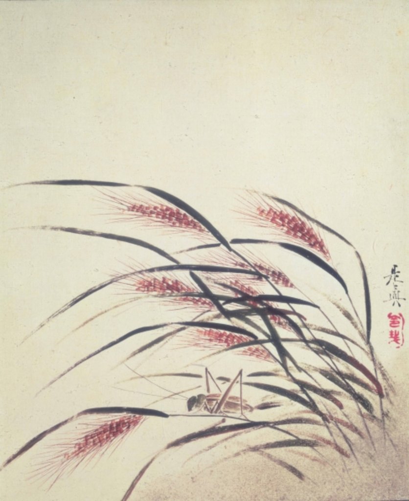 Detail of Ears of rice and cricket by Shibata Zeshin