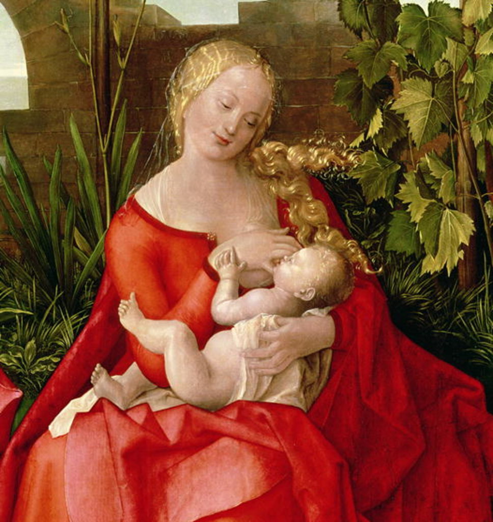 Detail of Virgin and Child 'Madonna with the Iris', 1508 by Albrecht (after) Durer or Duerer