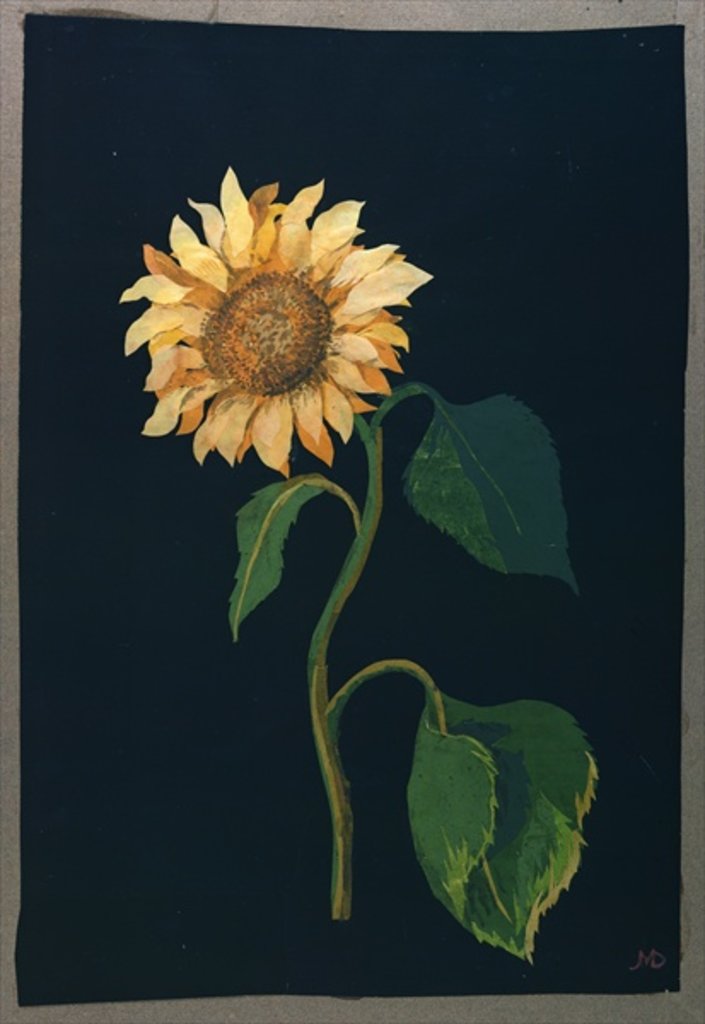 Detail of Sunflower by Mary Granville Delany