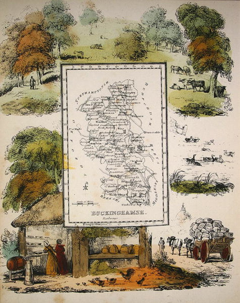 Detail of Map of Buckinghamshire by School English