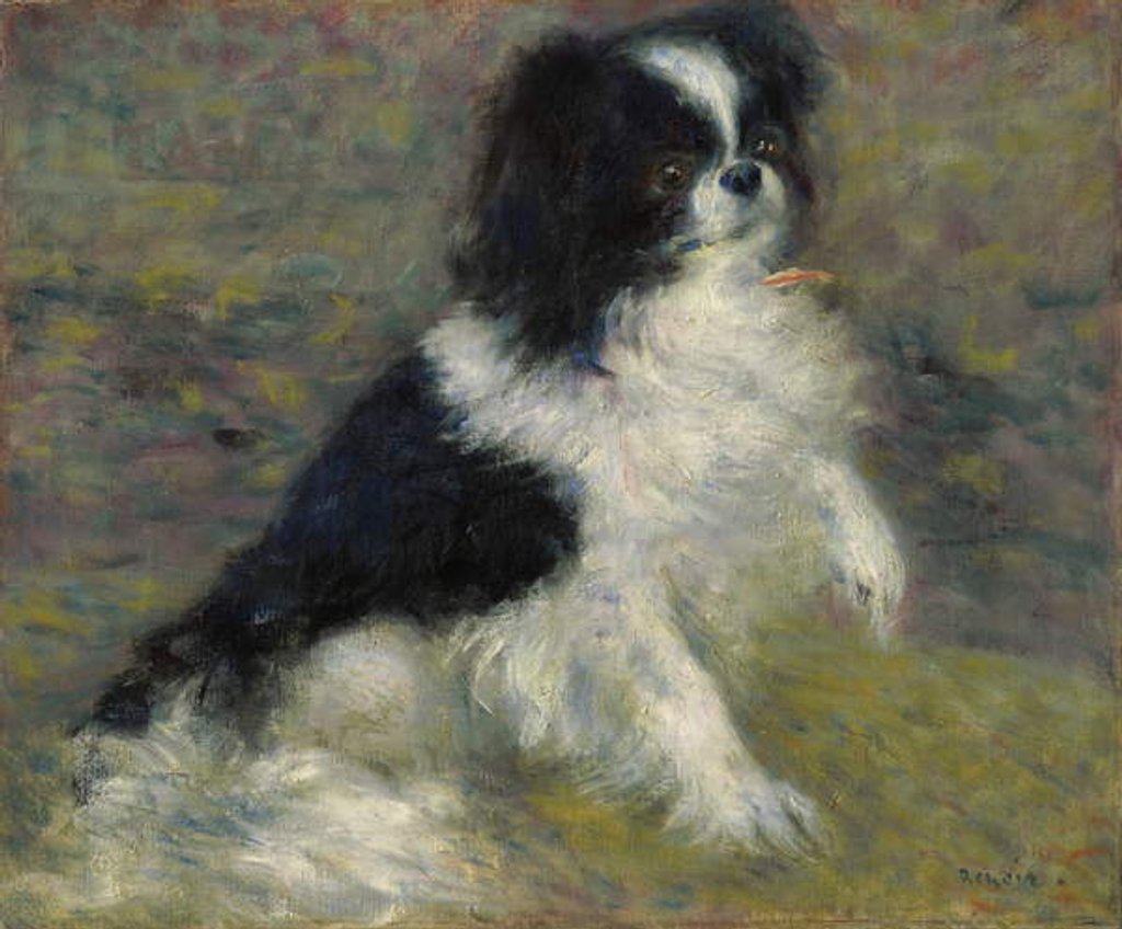 Detail of Tama, the Japanese Dog, c.1876 by Pierre Auguste Renoir