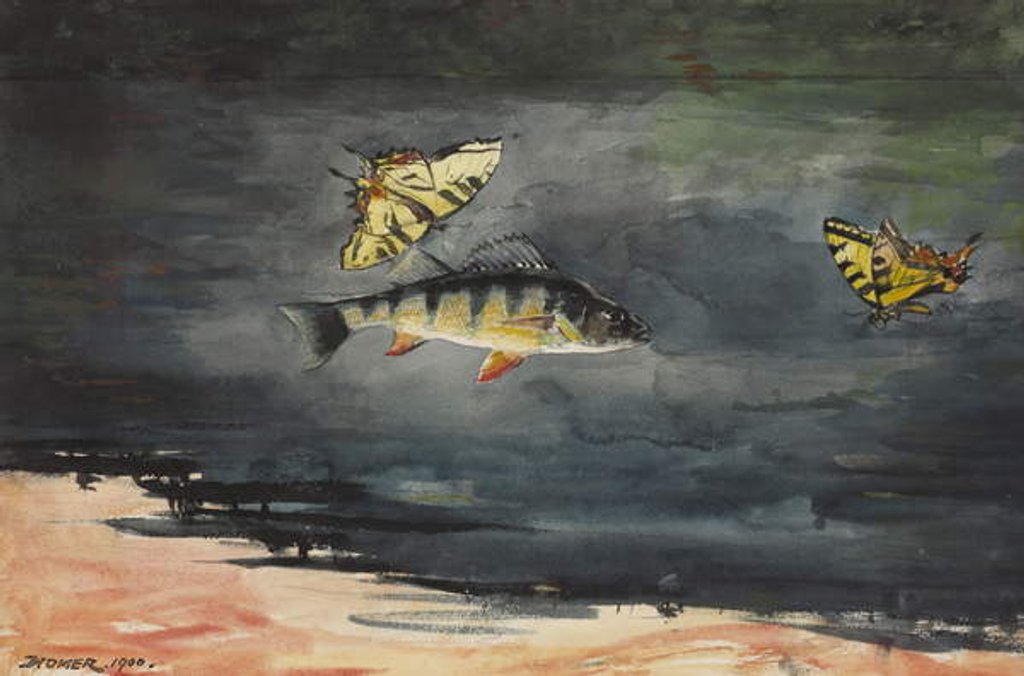 Detail of Fish and Butterflies, 1900 by Winslow Homer