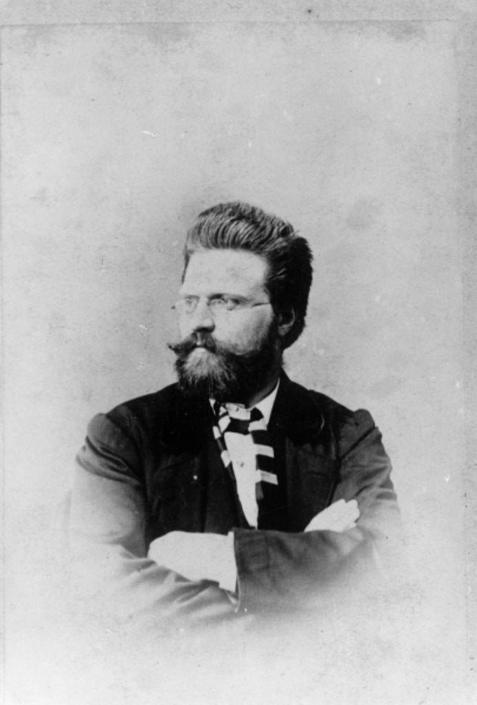 Detail of Portrait of Norwegian writer Bjoernstjerne Bjoernson, c.1865 by German Photographer