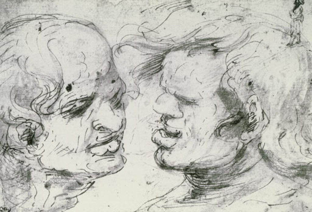 Detail of Two Heads by Leonardo da Vinci