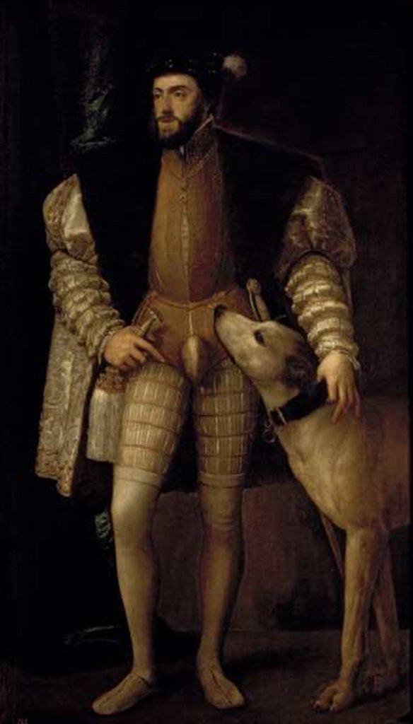 Detail of Charles V Holy Roman Emperor and King of Spain with his Dog by Titian