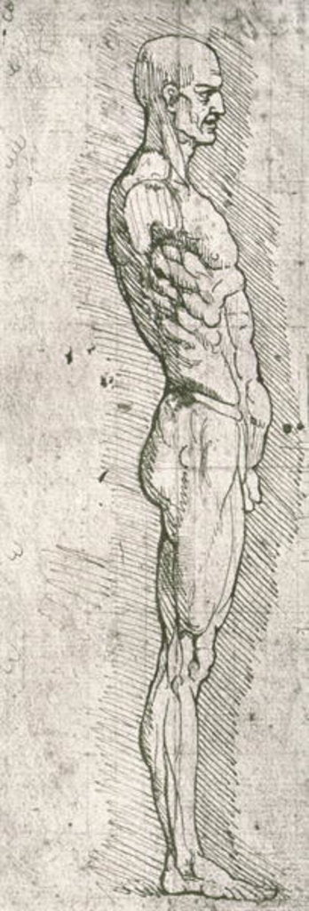 Detail of Anatomical Study by Leonardo da Vinci