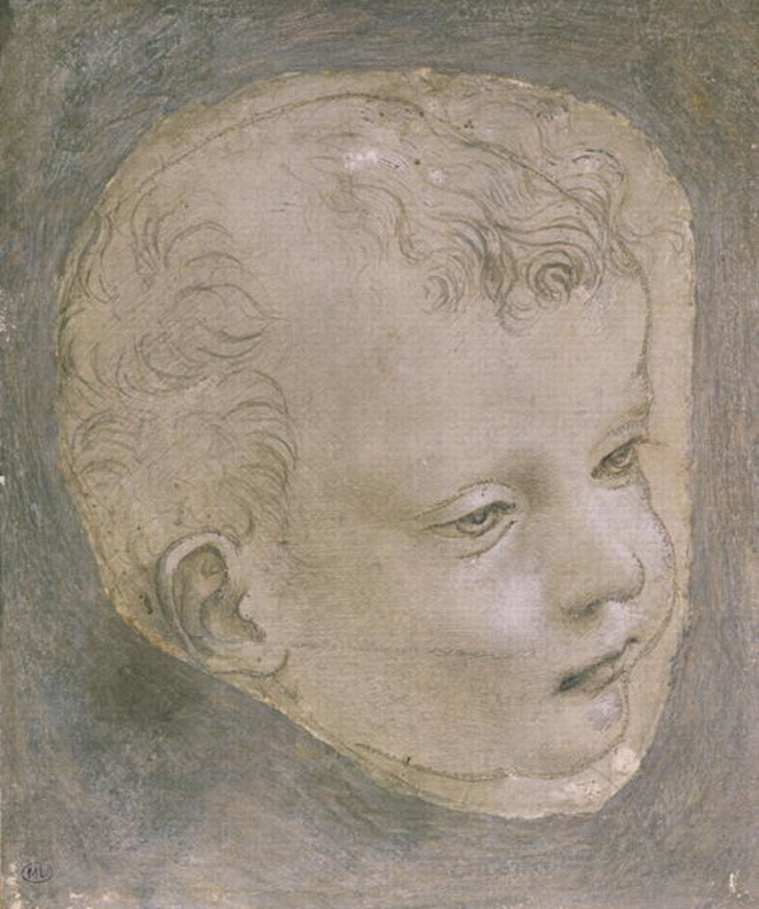 Detail of Head of a Child by Leonardo da Vinci