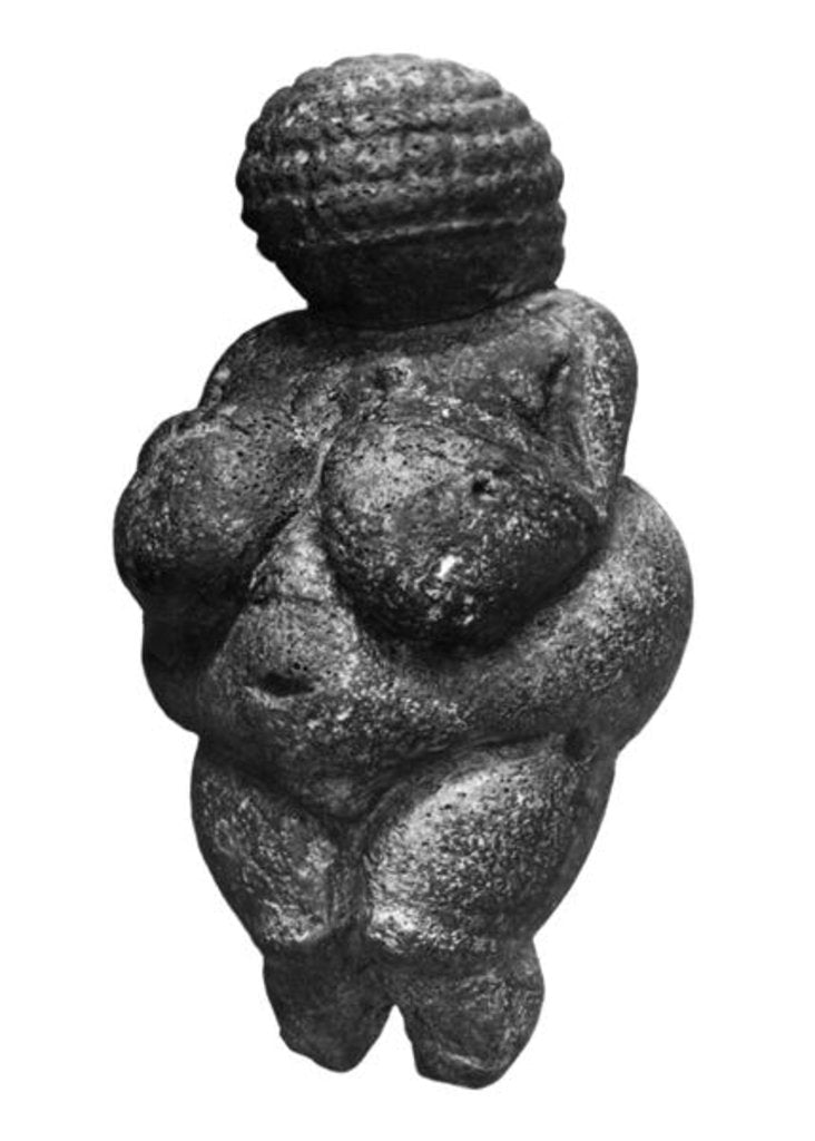 Detail of The Venus of Willendorf, side view of female figurine, Gravettian culture, Upper Paleolithic Period, c.30000-18000 BC by Prehistoric Prehistoric