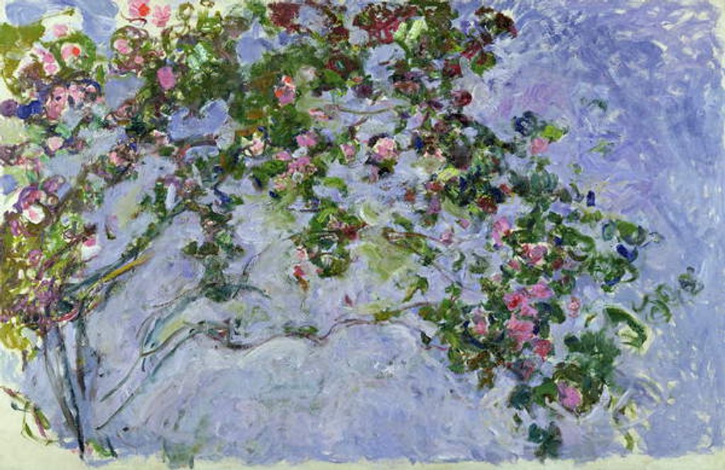 Detail of The Roses, 1925-26 by Claude Monet