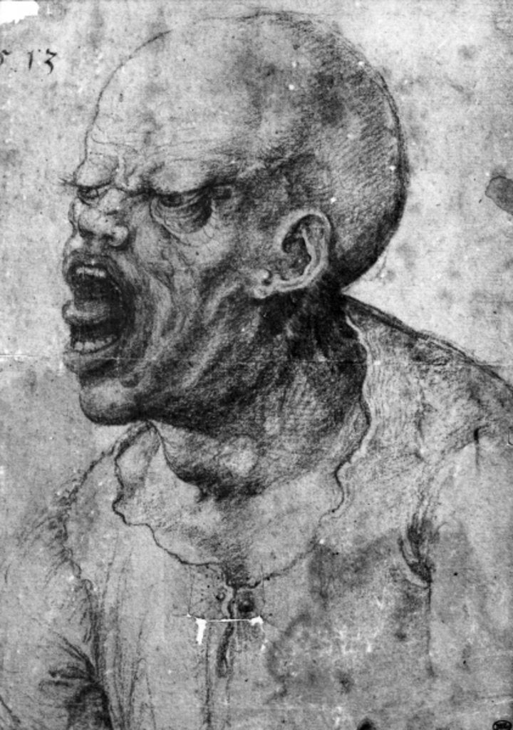 Detail of Portrait of a Man Shouting by Leonardo da Vinci