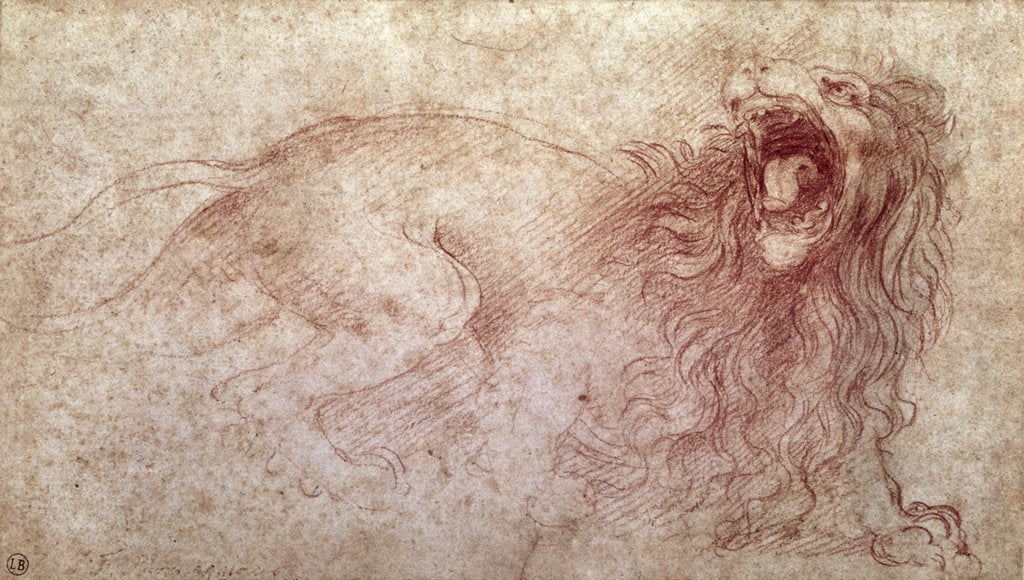 Detail of Sketch of a roaring lion by Leonardo da Vinci