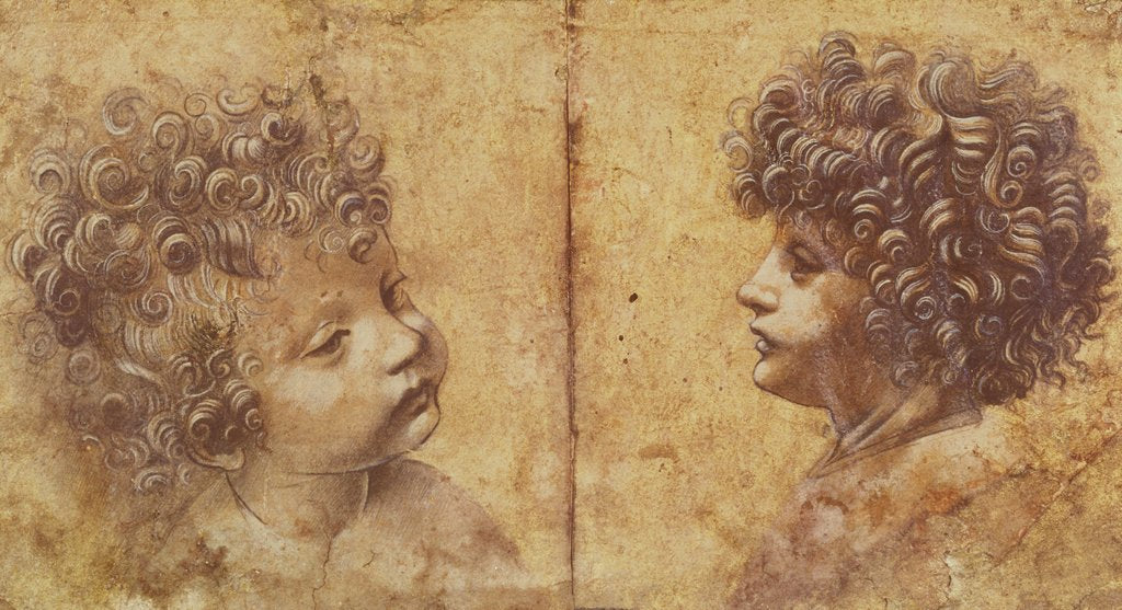 Detail of Study of a child's head by Leonardo da Vinci