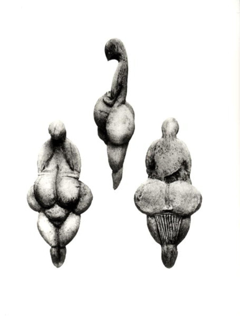 Detail of Three views of a 'Venus' statuette by Prehistoric