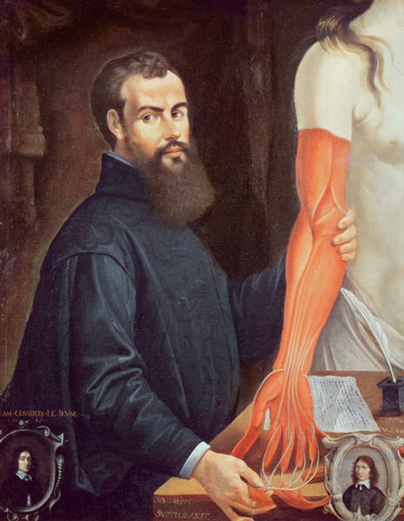 Detail of Andreas Vesalius by Pierre Poncet