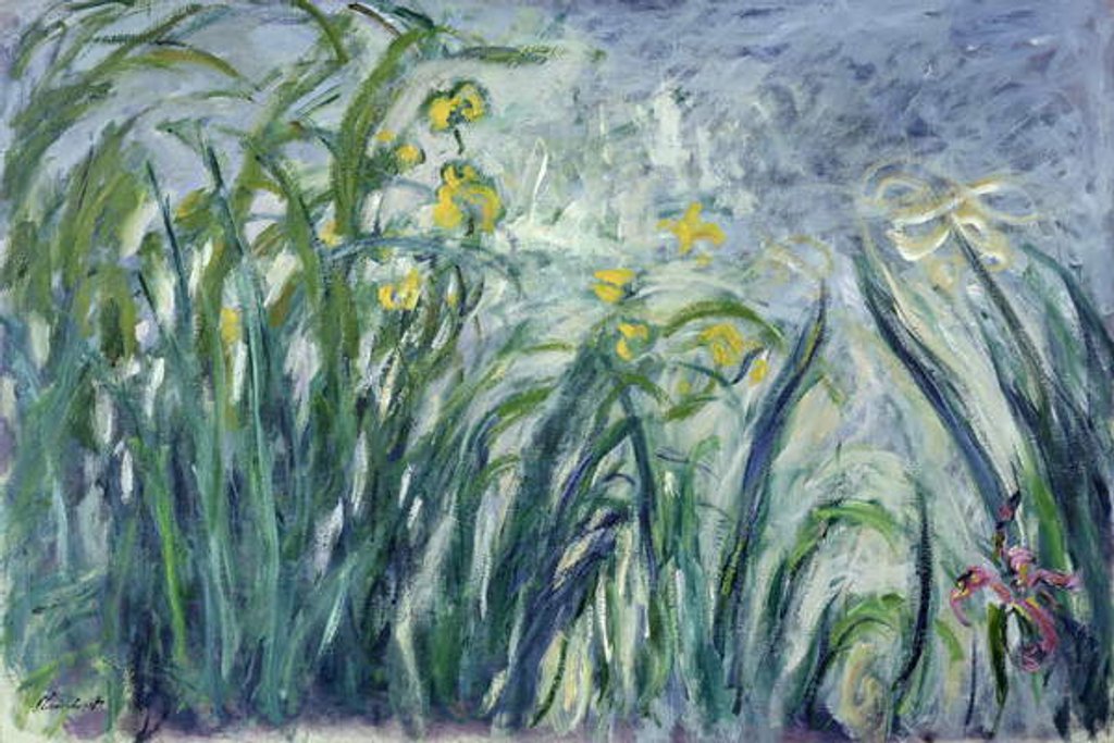 Detail of Yellow and Purple Irises, 1924-25 by Claude Monet