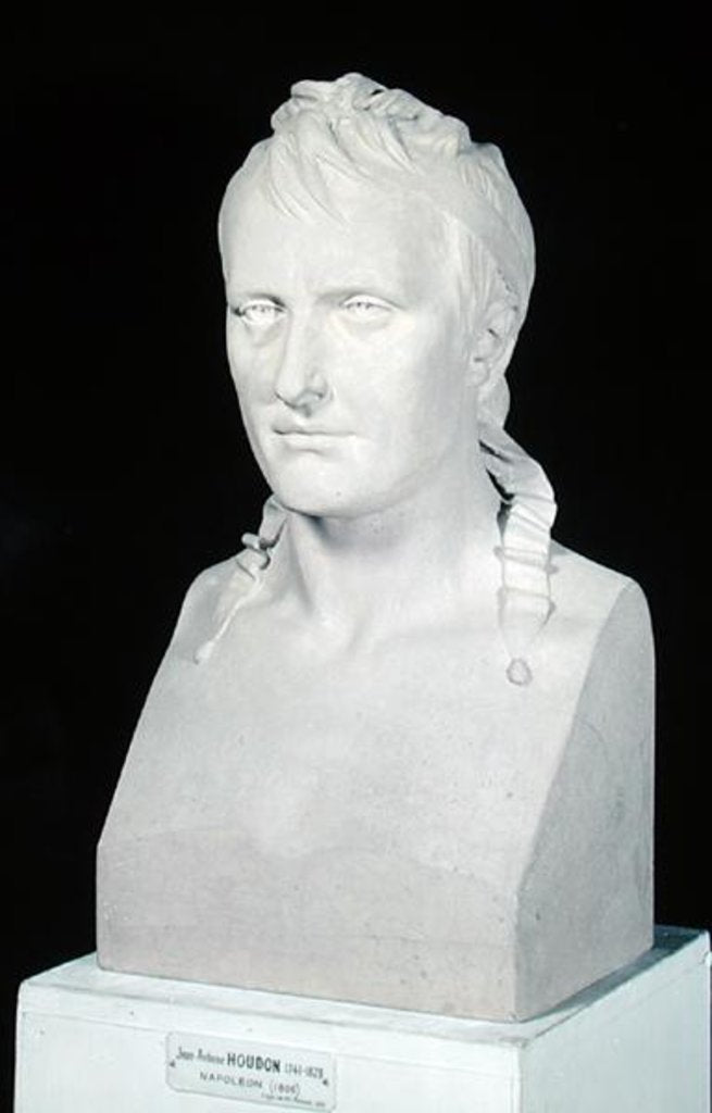 Detail of Bust of Napoleon I by Jean-Antoine Houdon
