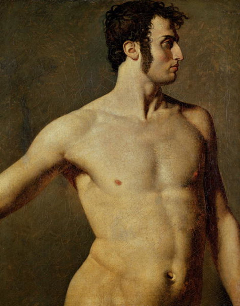 Detail of Male Torso by Jean Auguste Dominique Ingres