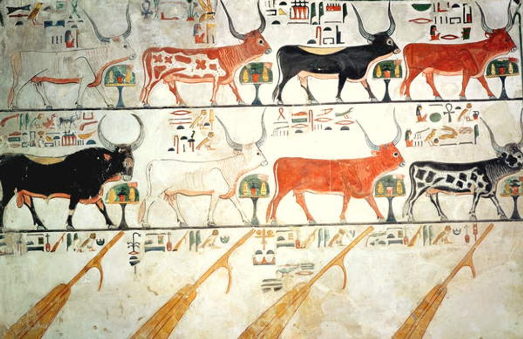 Detail of The seven celestial cows and the sacred bull and the four rudders of heaven by Egyptian 19th Dynasty