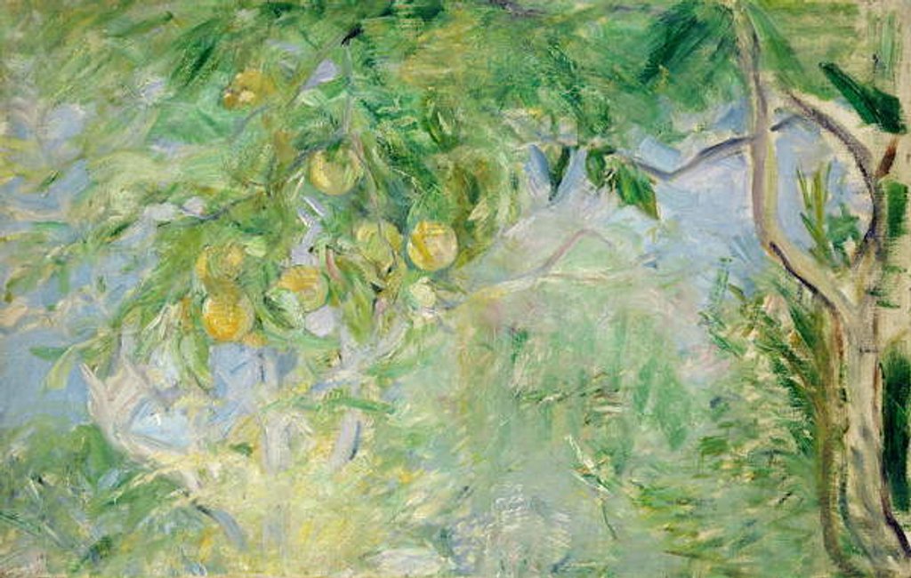 Detail of Orange Tree Branches, 1889 by Berthe Morisot