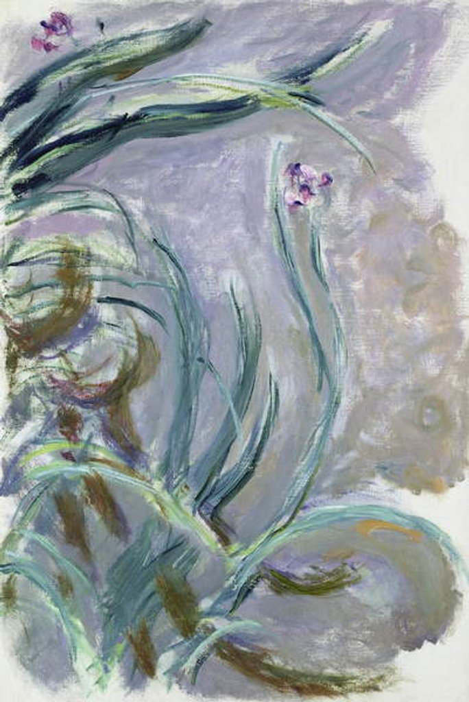 Detail of Iris, 1924-25 by Claude Monet