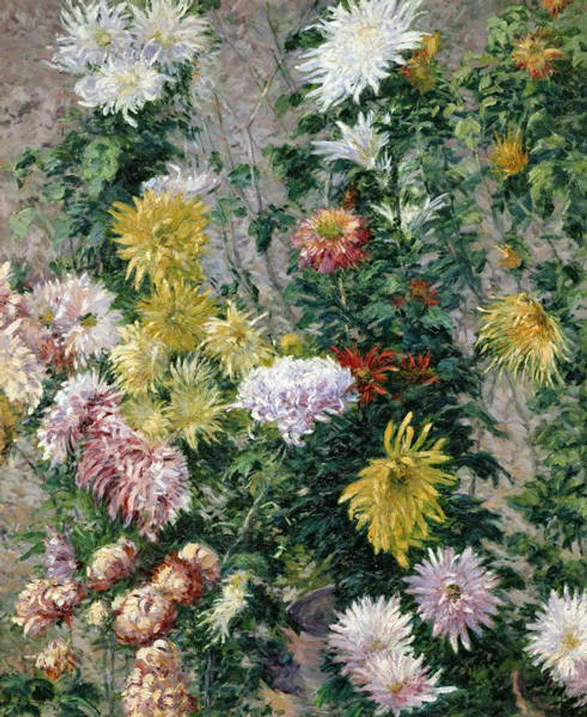 Detail of White and Yellow Chrysanthemums, 1893 by Gustave Caillebotte