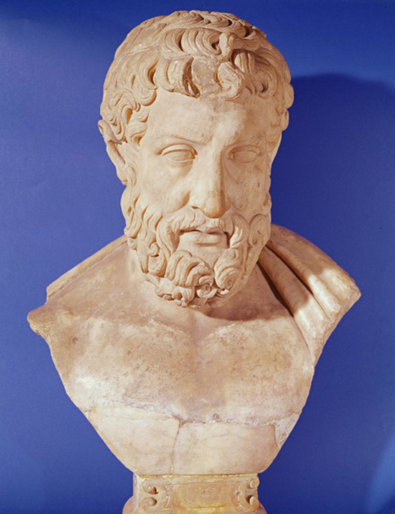 Detail of Bust of Metrodorus of Chios by Greek Greek