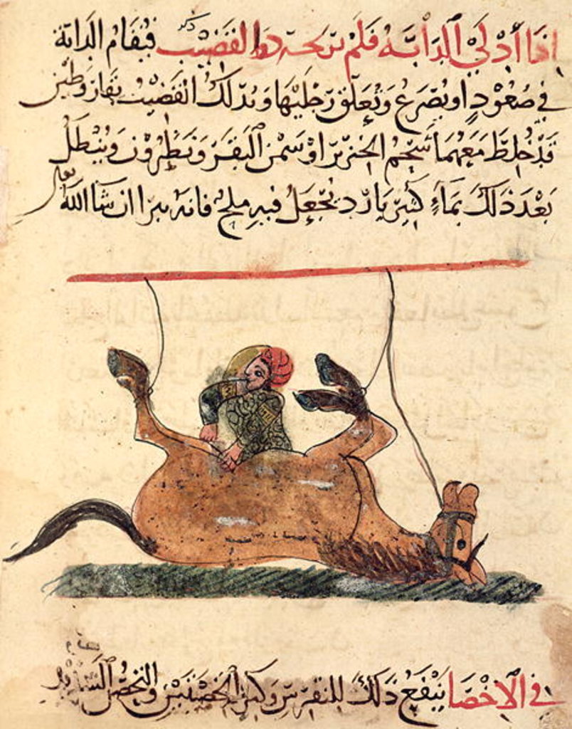 Detail of Operation on a horse by Islamic School