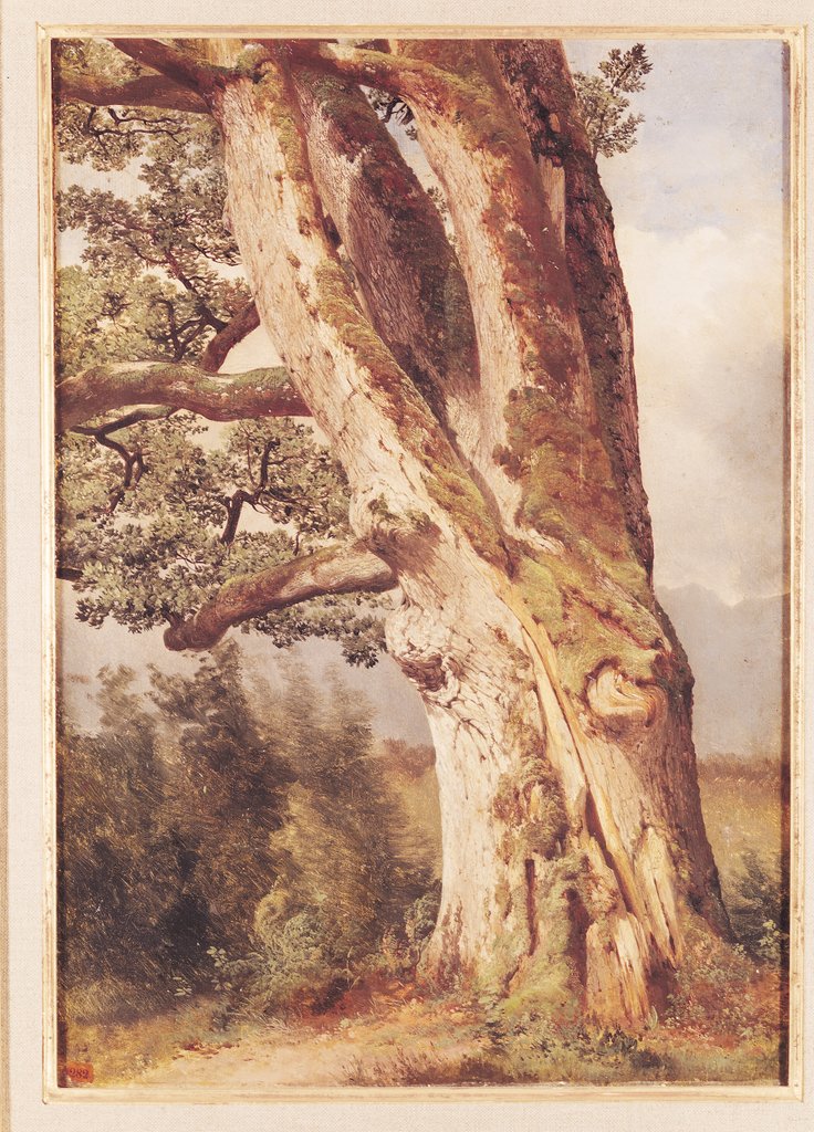 Detail of The Oak by Alexandre Calame