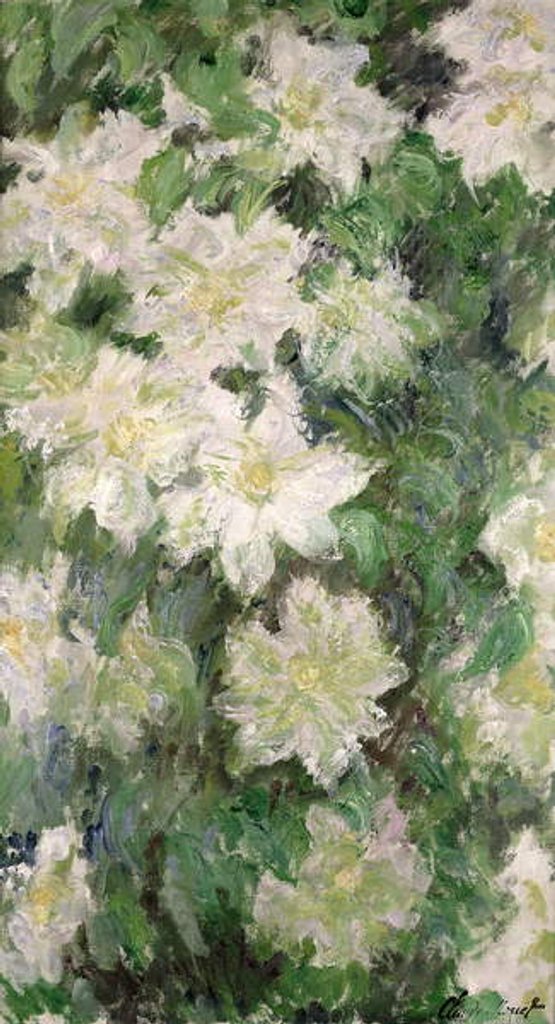Detail of White Clematis, 1887 by Claude Monet