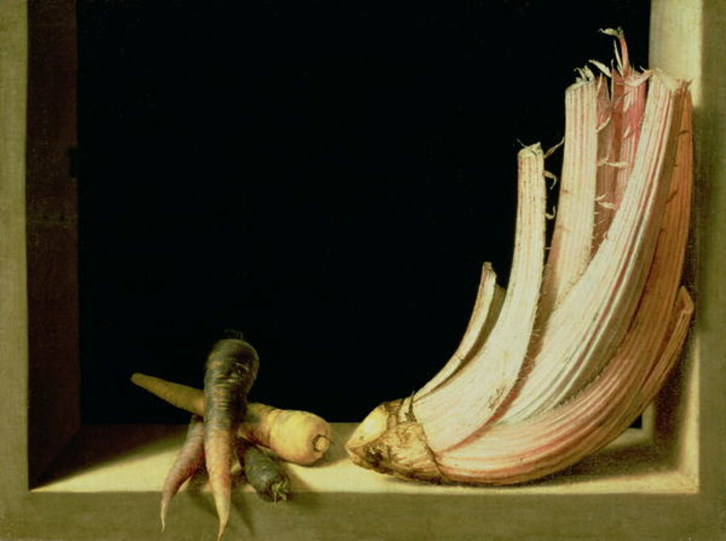 Detail of Still Life with a Cardoon by Juan Sanchez Cotan