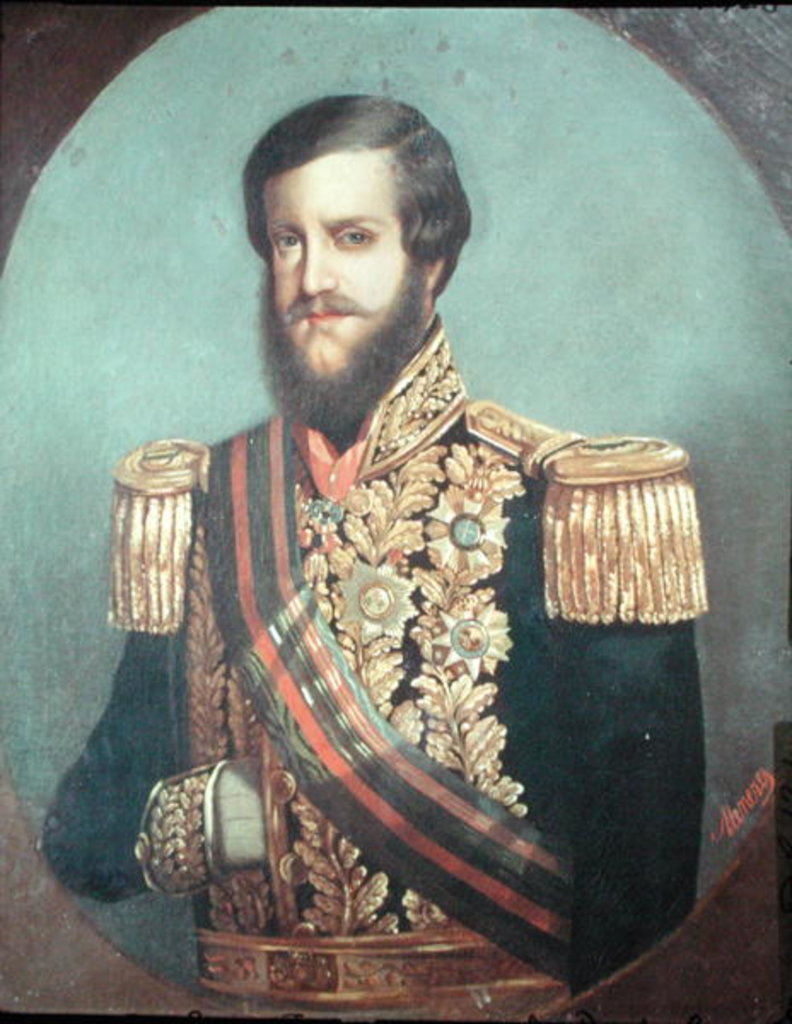 Detail of Pedro II Emperor of Brazil by Luis de Miranda Pereira Visconde de Menezes