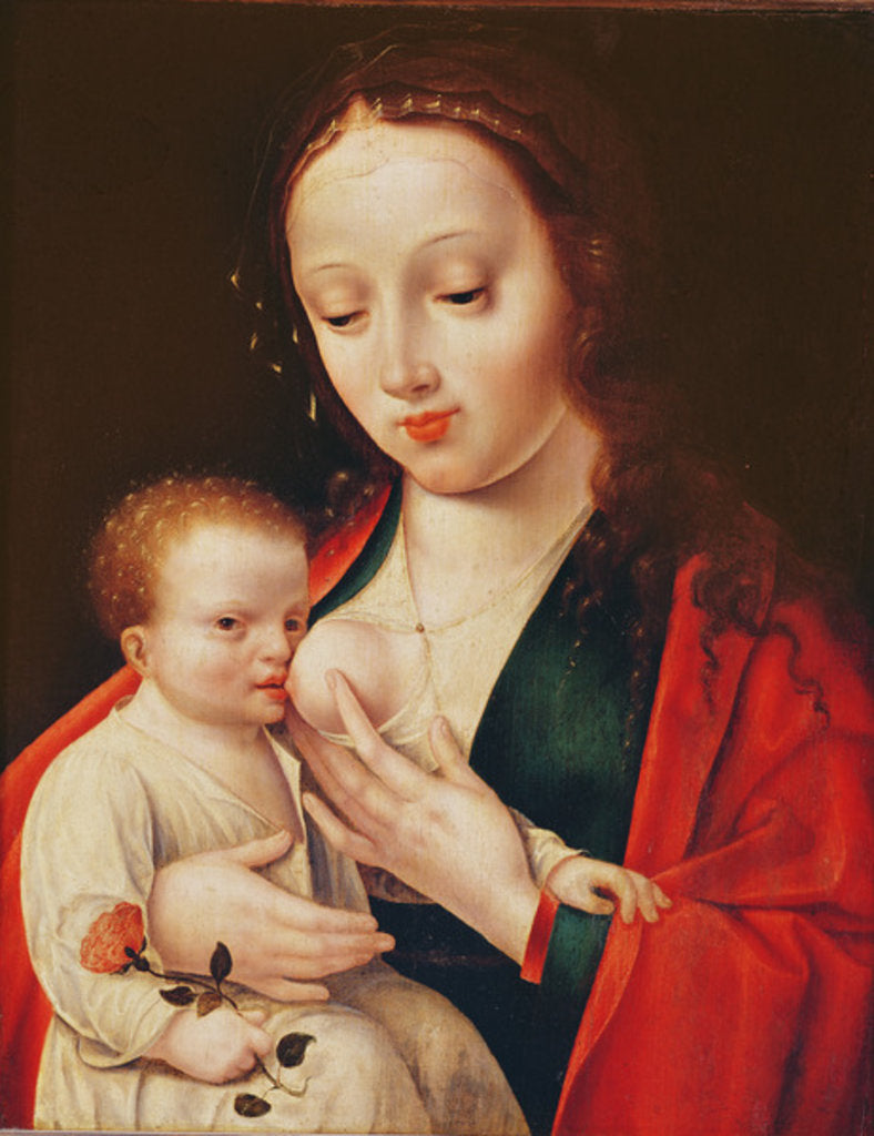 Detail of The Virgin Breastfeeding the Infant Christ by Joos van Cleve