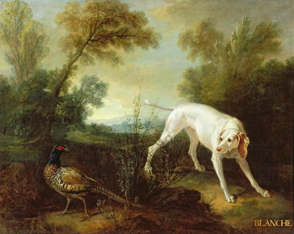 Detail of Blanche, Bitch of the Royal Hunting Pack by Jean-Baptiste Oudry