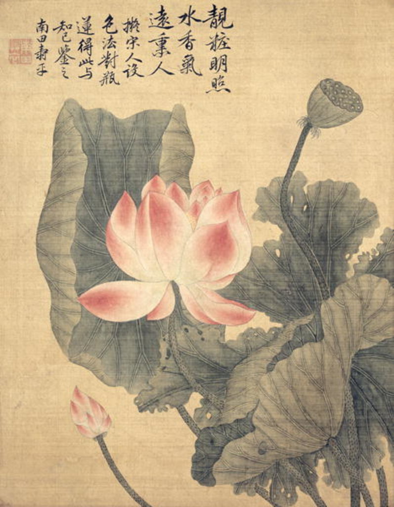 Detail of Peonies by Shouping Yun