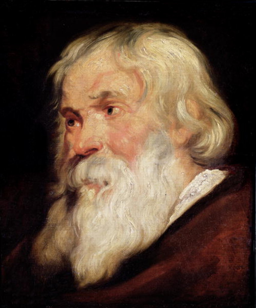 Detail of Head of an Old Man by Peter Paul Rubens