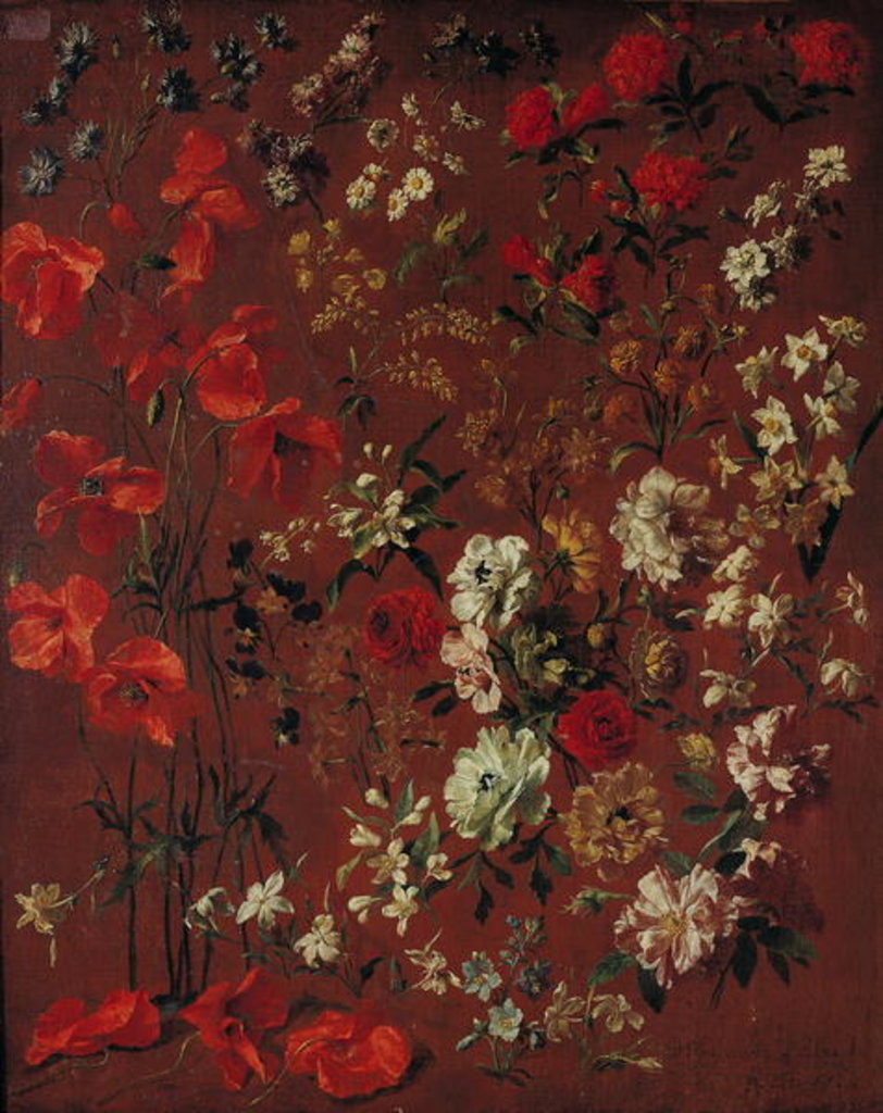 Detail of Study of Flowers, 1720 by Hyacinthe Francois Rigaud