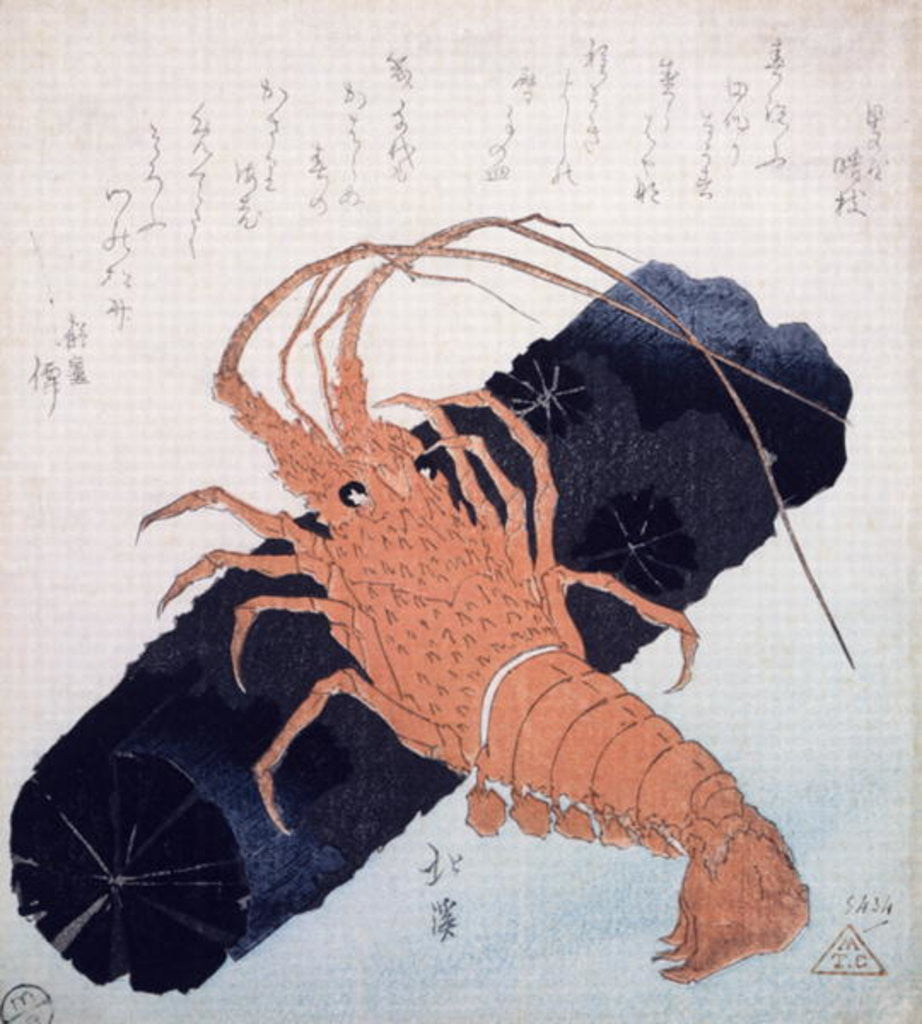 Langoustine with a Block of Charcoal by Toyota Hokkei
