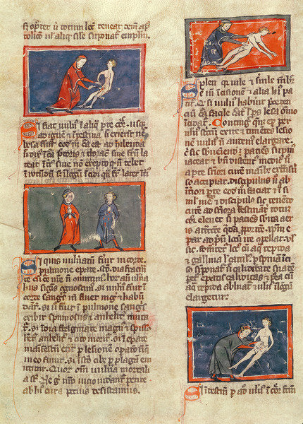 Detail of Ms H 89 fol.21v Anatomical figures by French School