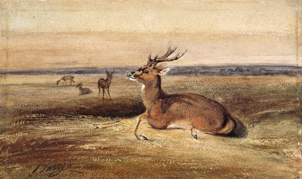 Detail of Resting Deer by Antoine Louis Barye