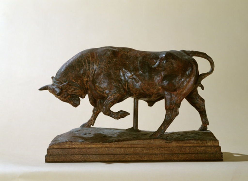 Detail of Small Bull by Antoine Louis Barye