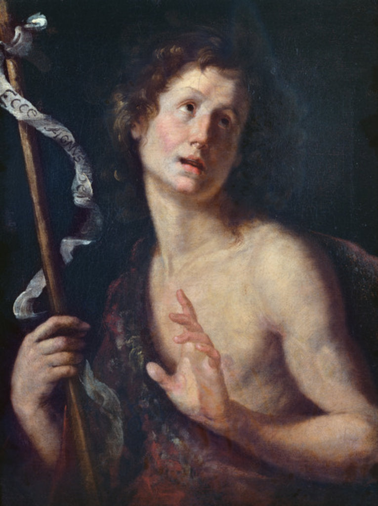 Detail of St. John the Baptist by Bernardo Strozzi