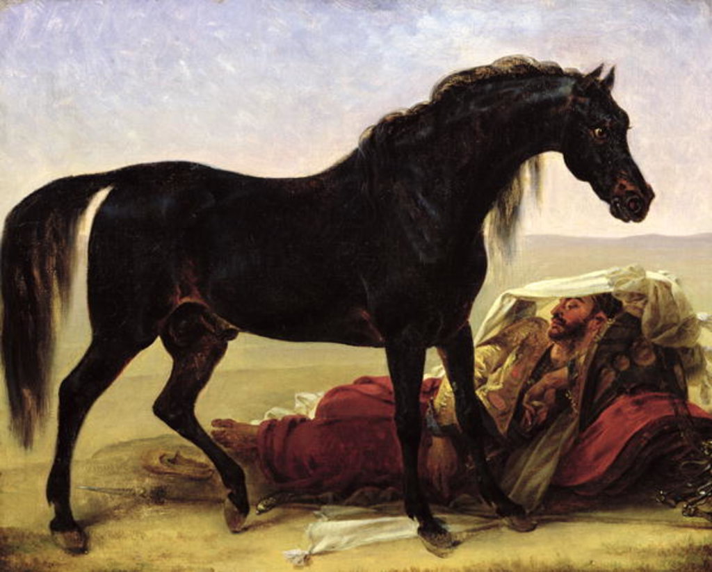 Detail of An Arabian Horse by Baron Antoine Jean Gros