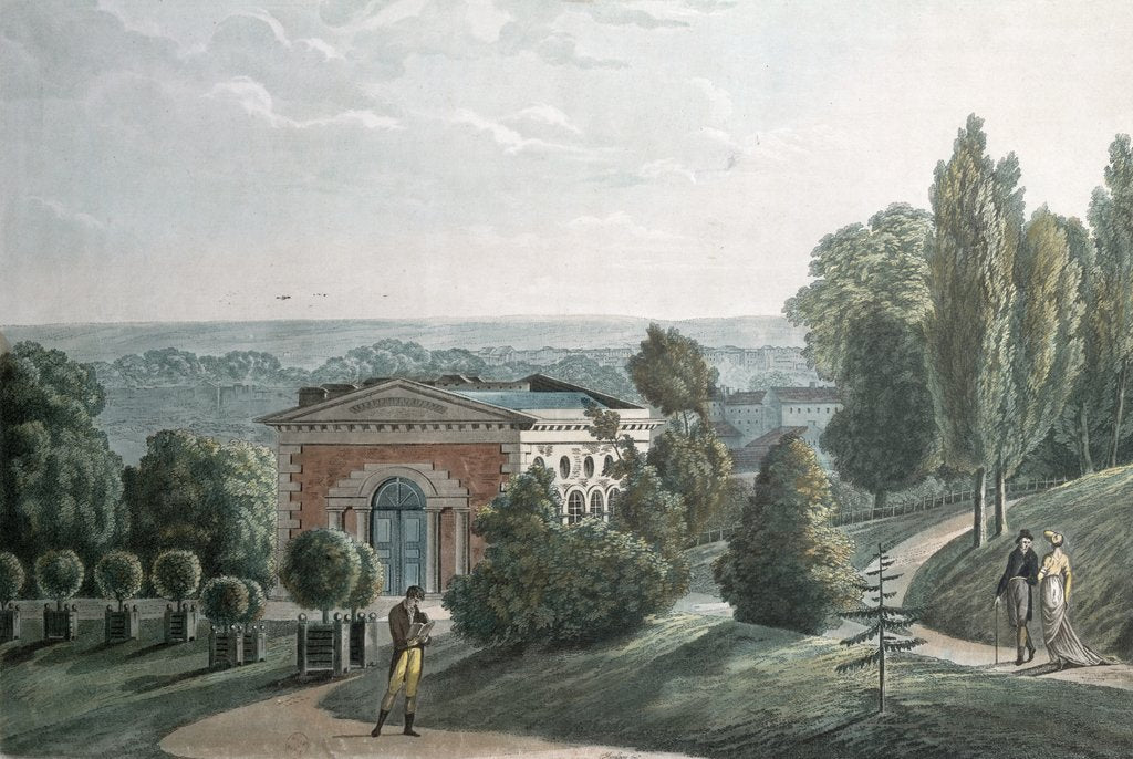 Detail of The Hothouse in the Jardin des Plantes, Paris by F.G. Wexelberg